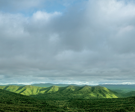 Pascor Atlantic in southwest Virginia